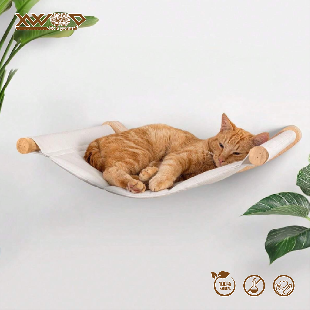 01_Thumb Web_P-CH11-01