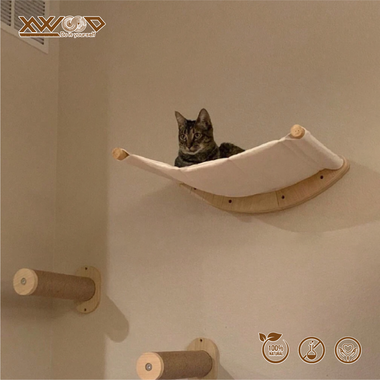 01_Thumb Web_P-CH11-02