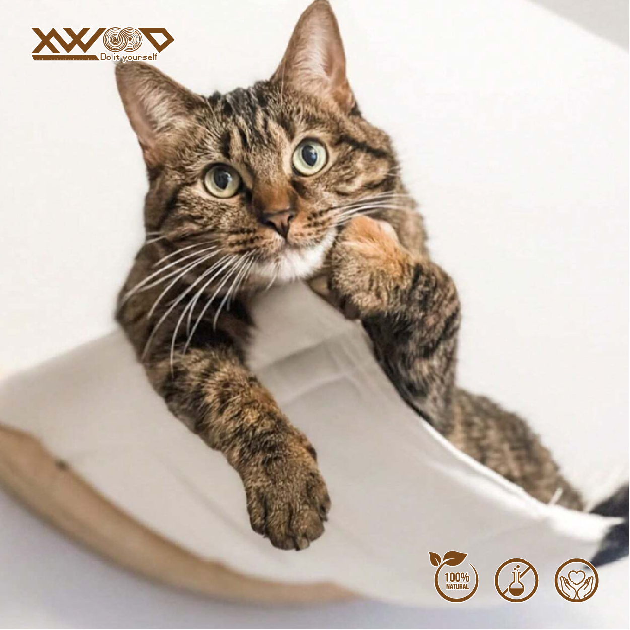 01_Thumb Web_P-CH11-03