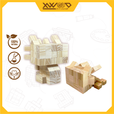 Bộ mô hình tô màu Răng Sún