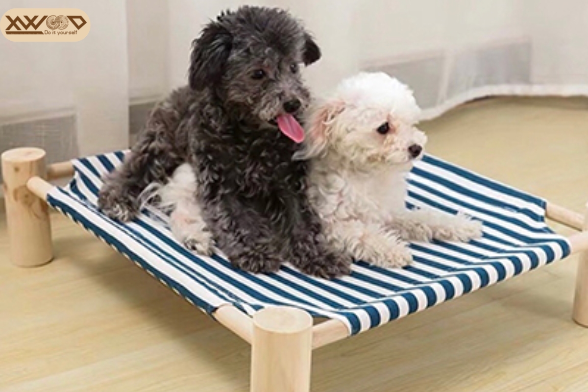Các loại giường nệm cho chó phổ biến hiện nay