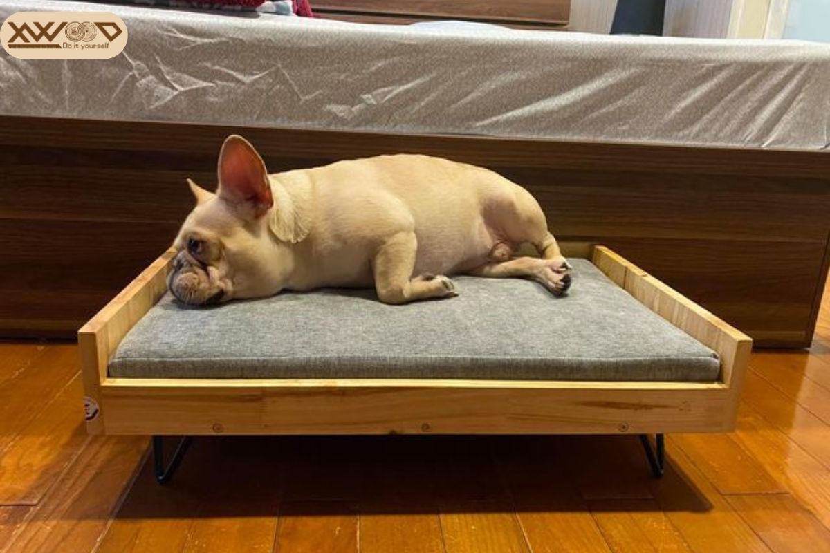Ưu điểm nổi bật của giường cho chó bằng gỗ