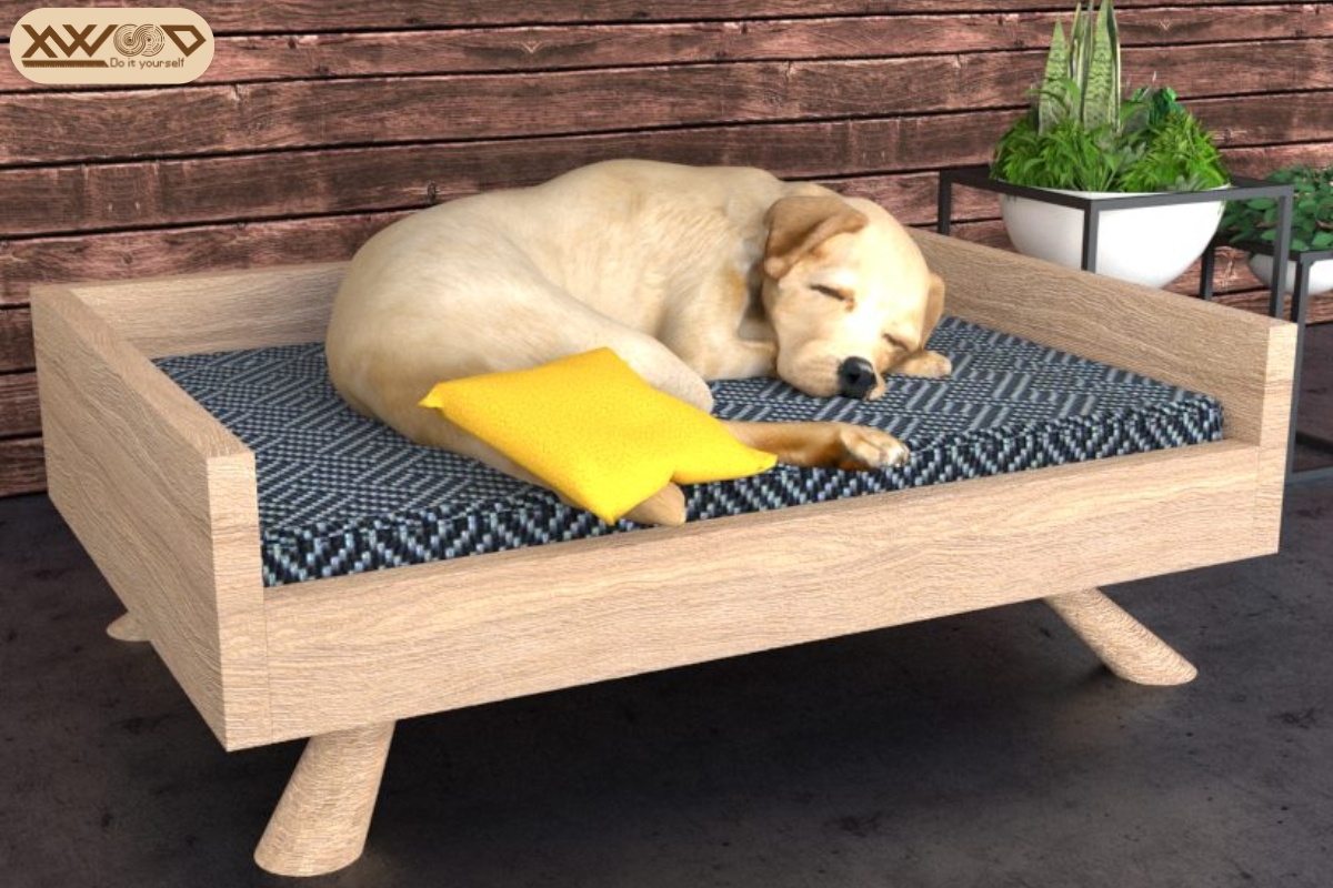 Giường cho chó bằng gỗ - Sự kết hợp giữa công năng và thẩm mỹ
