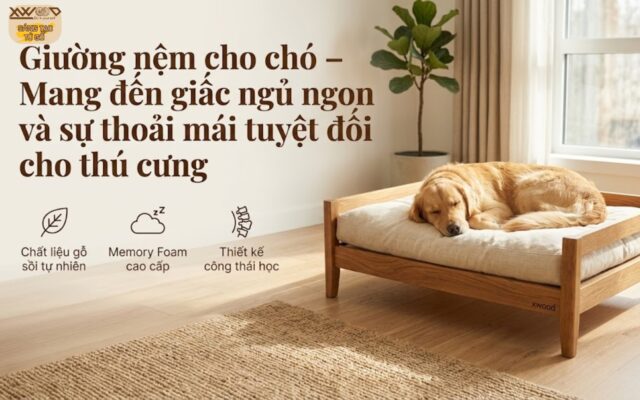 giường nệm cho chó