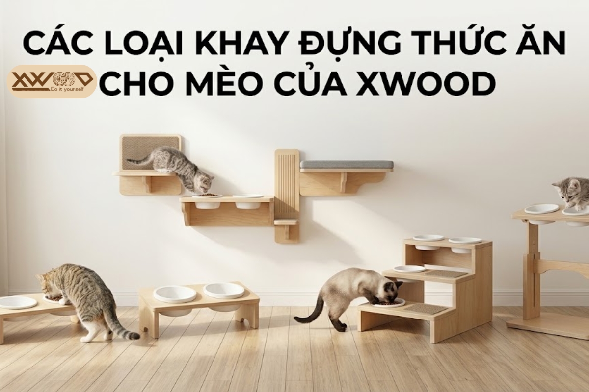 khay đựng thức ăn cho mèo của xwood
