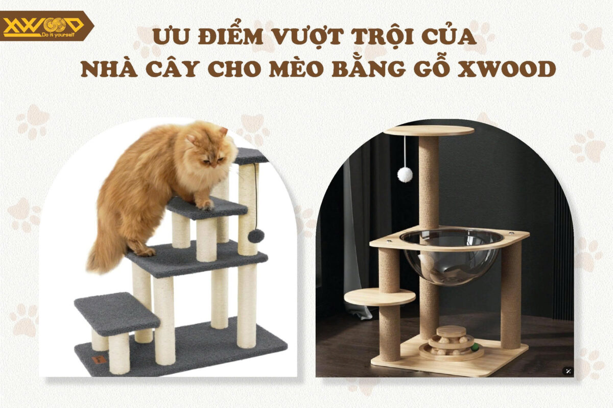 Ưu điểm vượt trội của nhà cây cho mèo bằng gỗ Xwood