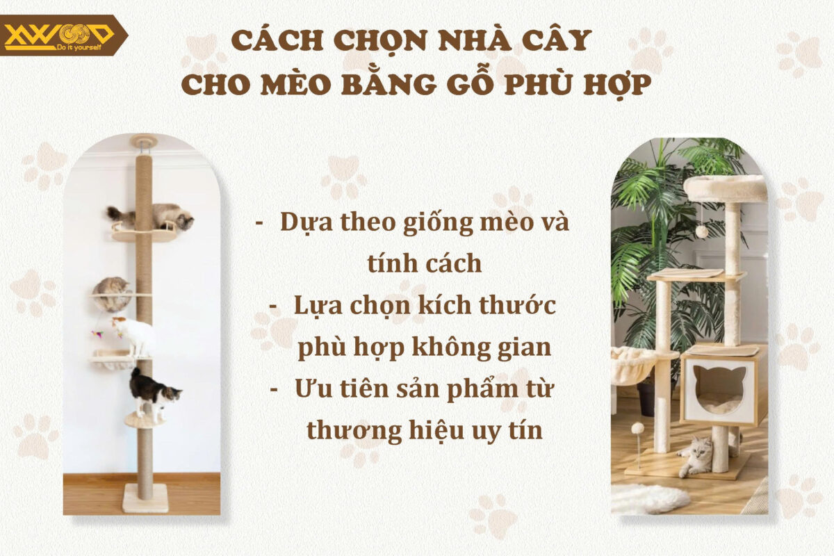 Cách chọn nhà cây cho mèo bằng gỗ phù hợp