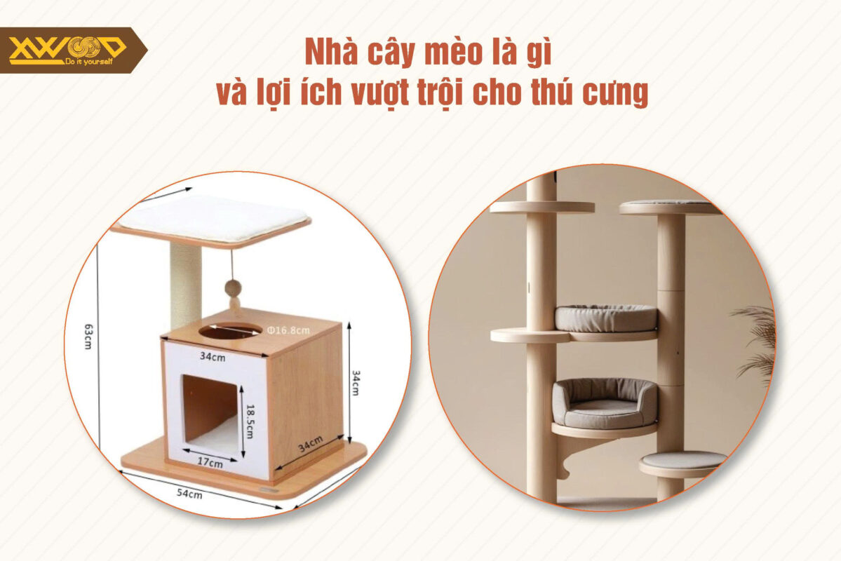 Nhà cây mèo là gì và lợi ích vượt trội cho thú cưng