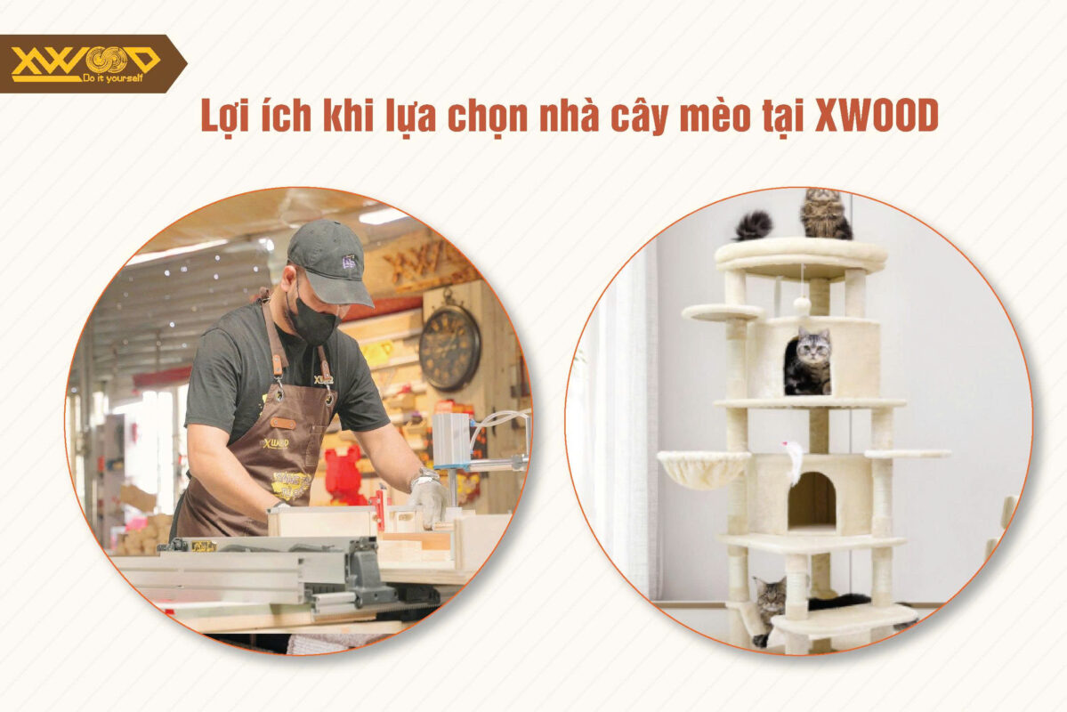 Lợi ích khi lựa chọn nhà cây mèo tại Xwood