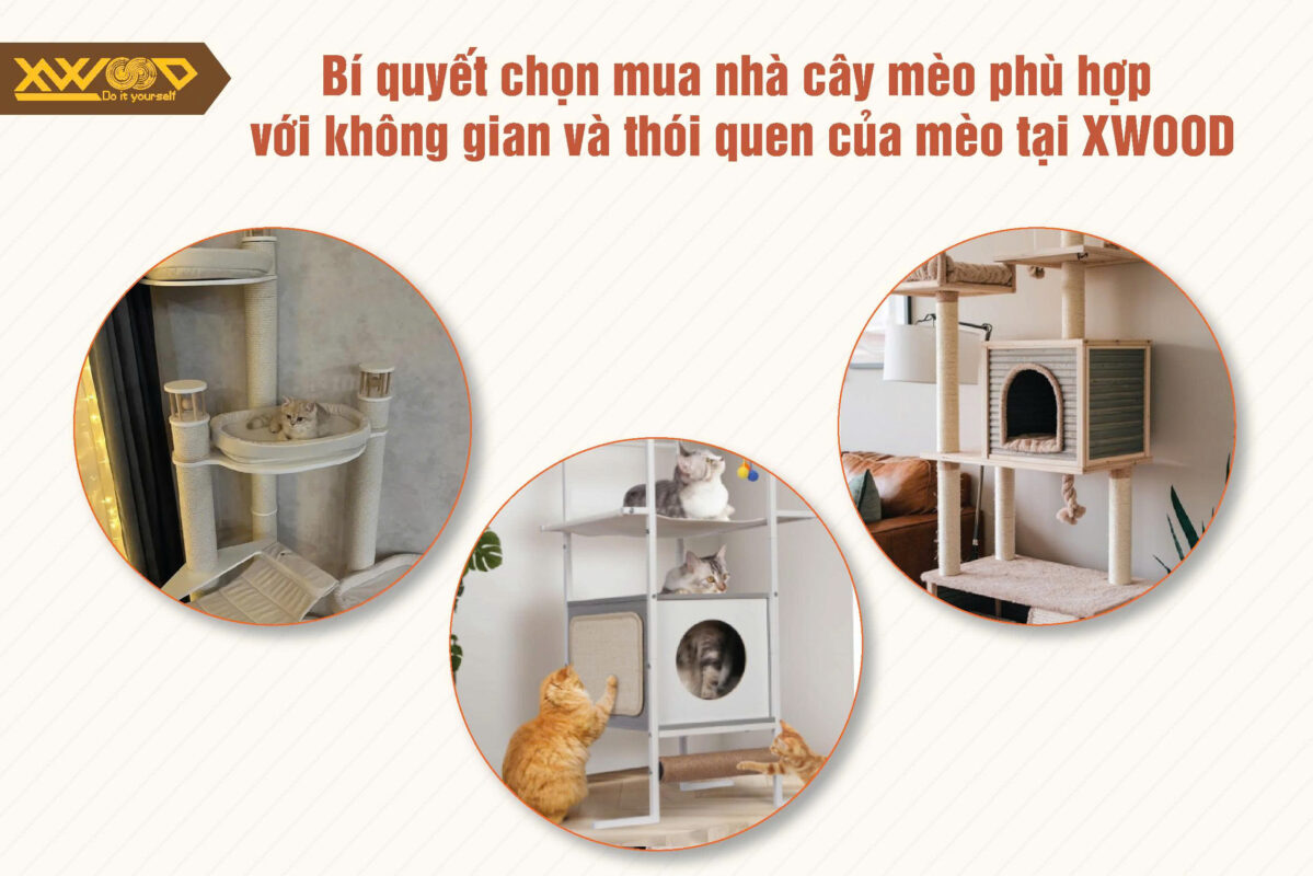 Bí quyết chọn mua nhà cây mèo phù hợp với không gian và thói quen của mèo
