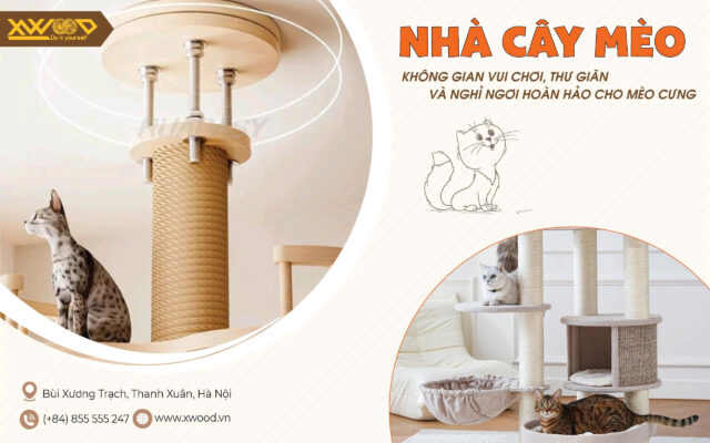 nhà cây mèo