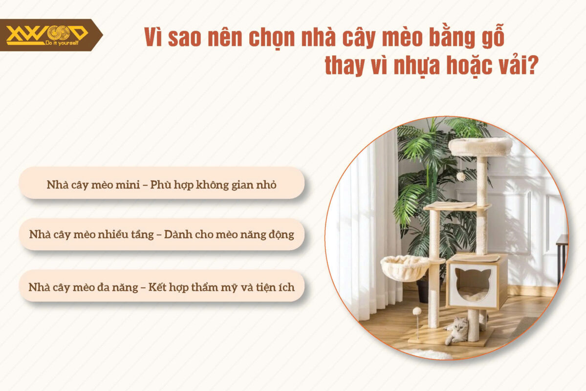 Các loại nhà cây mèo phổ biến hiện nay