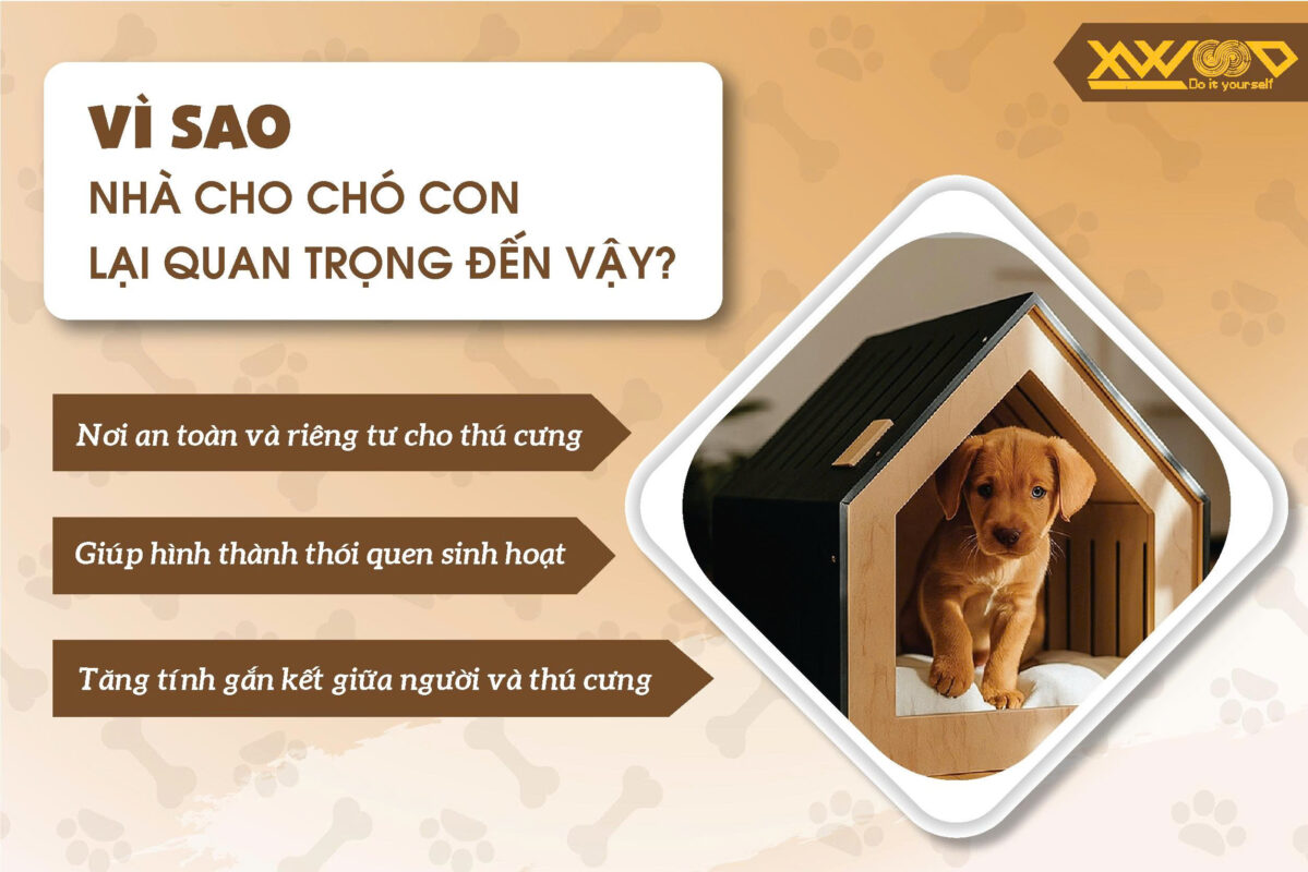 Vì sao nhà cho chó con lại quan trọng đến vậy?