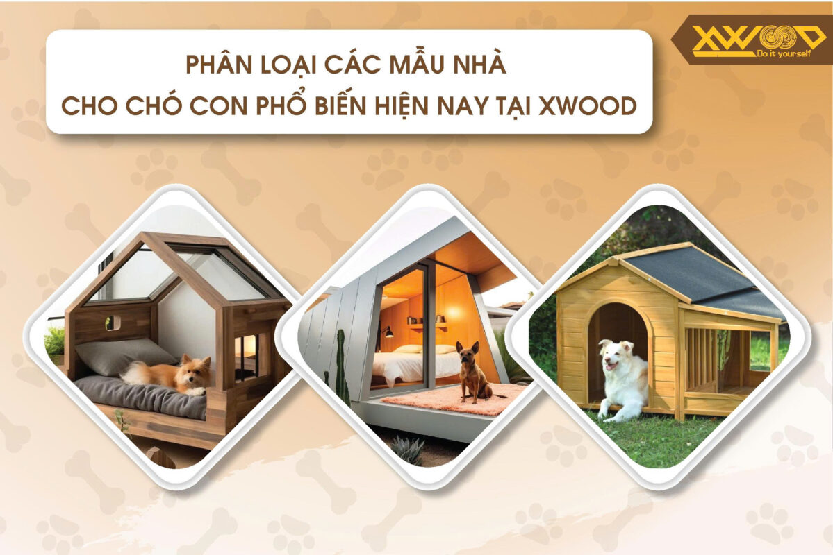 Phân loại các mẫu nhà cho chó con phổ biến hiện nay