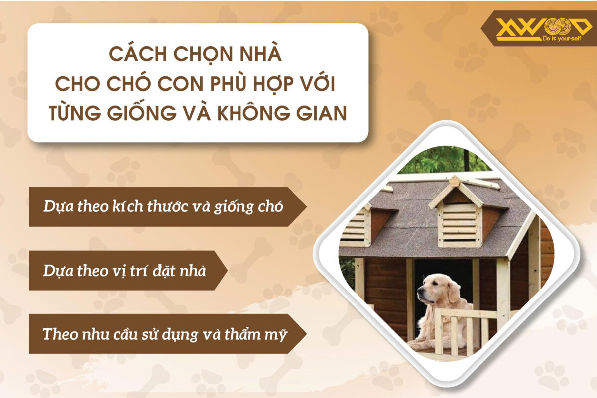 Cách chọn nhà cho chó con phù hợp với từng giống và không gian