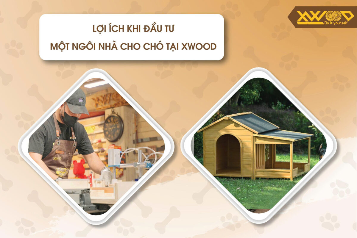 Lợi ích khi đầu tư một ngôi nhà cho chó Xwood
