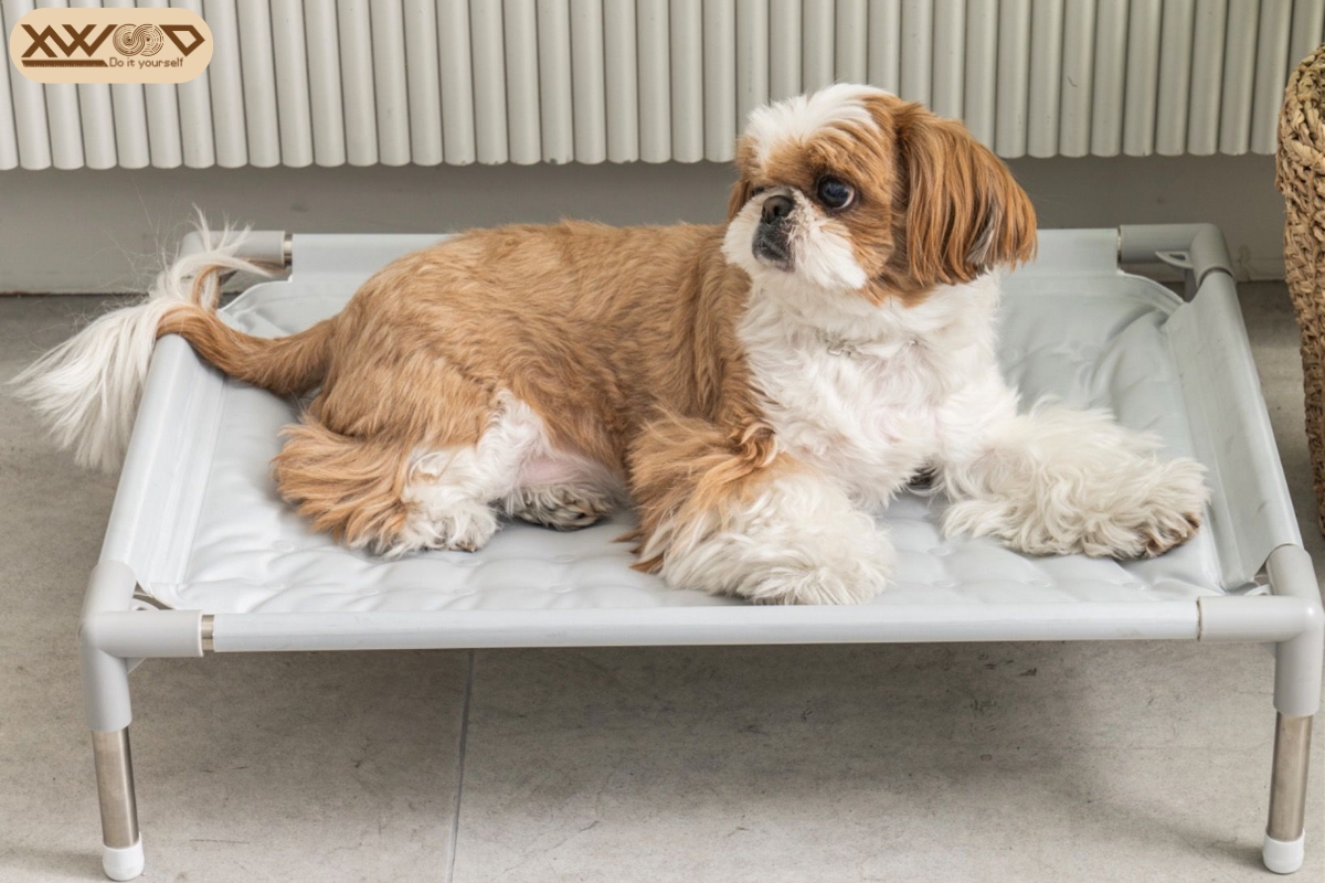 Sự kết hợp hoàn hảo giữa tiện nghi và thẩm mỹ