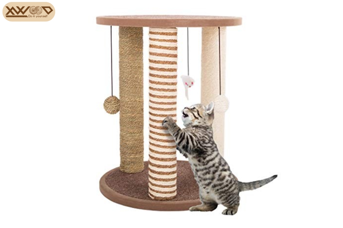 Trụ cào móng là gì và tại sao mèo cần nó