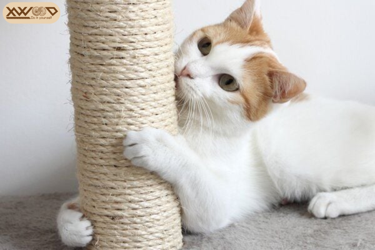 Trụ cào móng Xwood - Chất lượng, thẩm mỹ và an toàn tuyệt đối