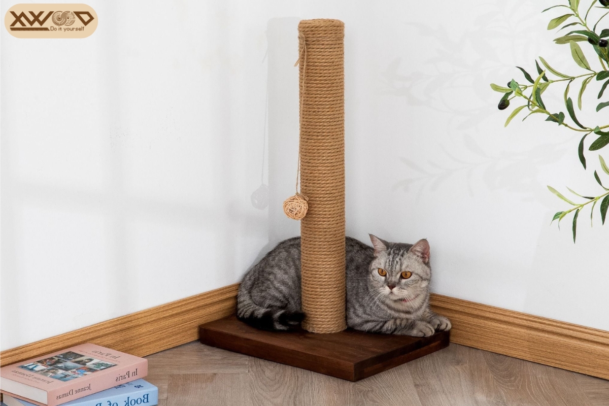 Trụ cào móng Xwood - Lựa chọn thông minh cho người yêu mèo