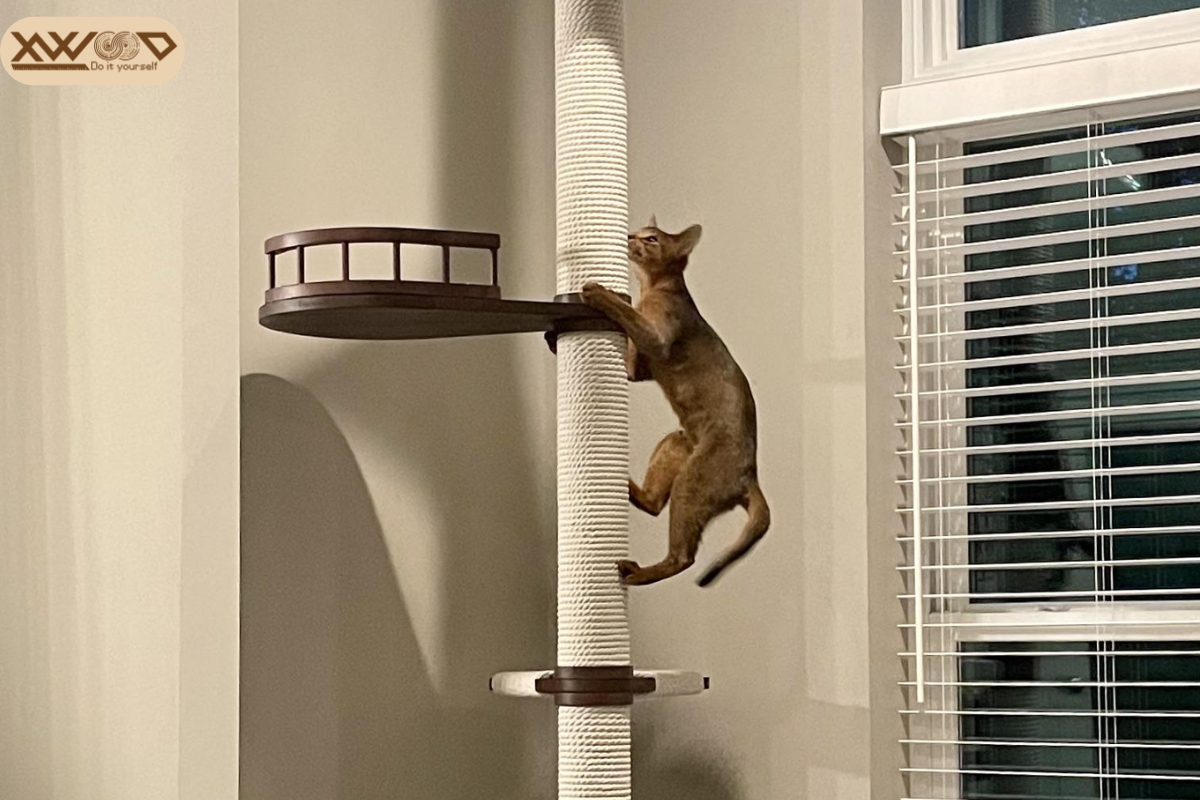 Bí quyết chọn trụ cào mèo phù hợp với từng boss