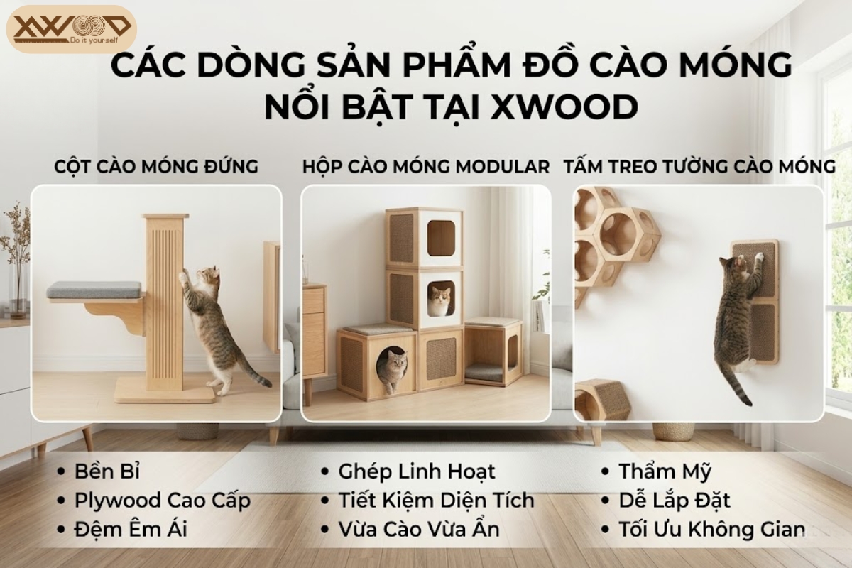 Các Dòng Sản Phẩm Đồ Cào Móng Nổi Bật Tại Xwood