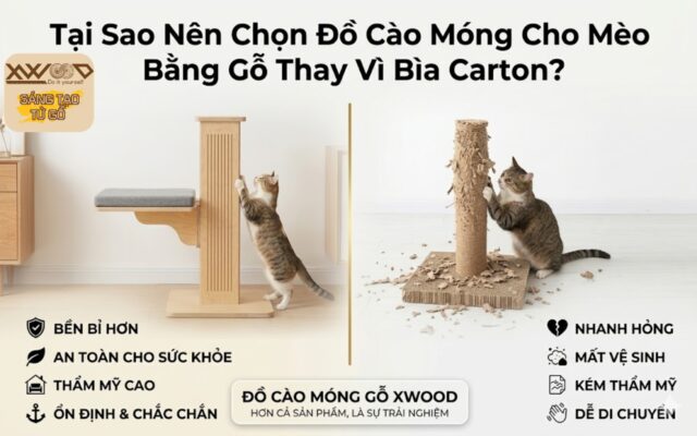 đồ cào móng cho mèo